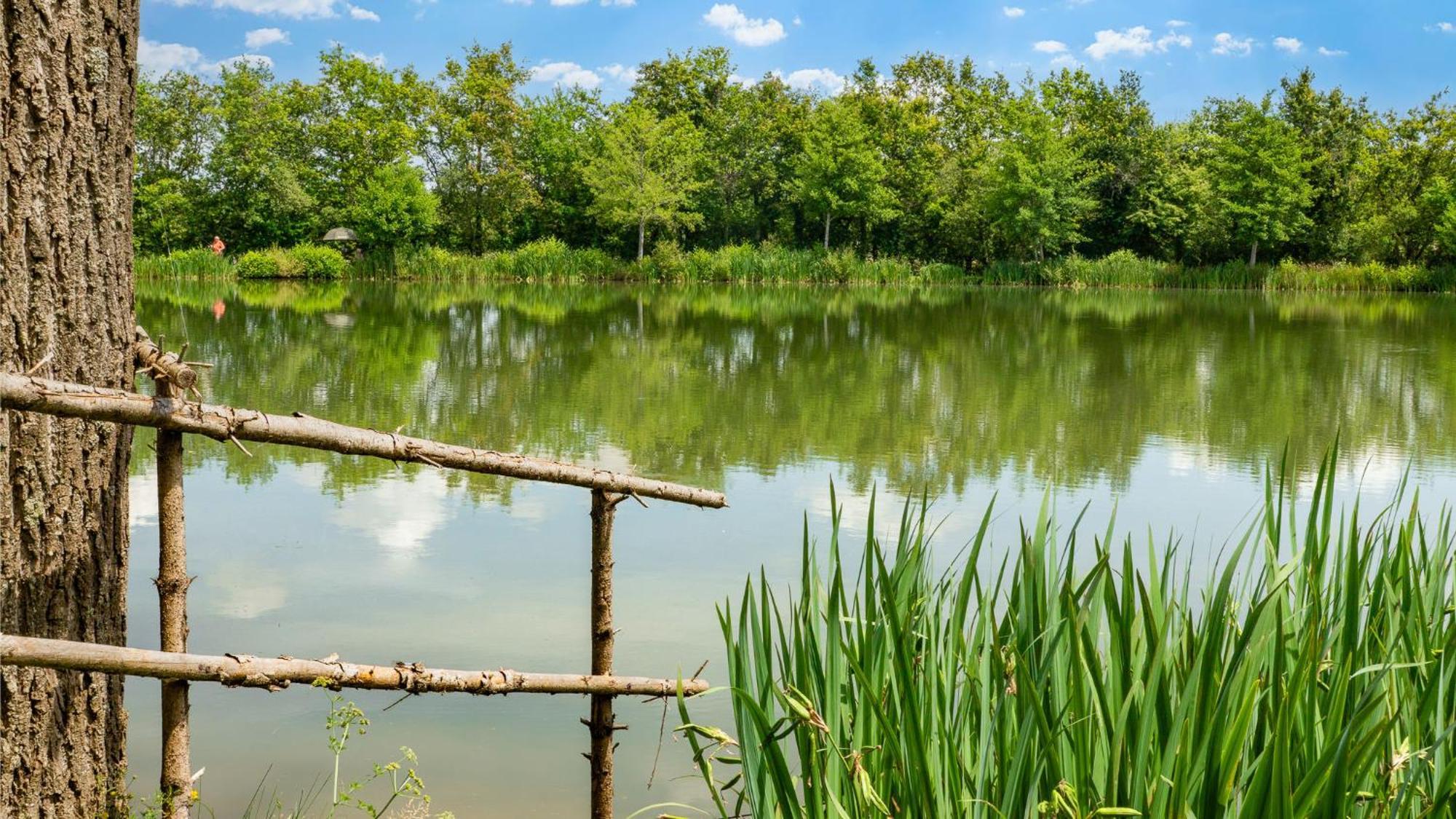 Camping Aubigny-Les Clouzeaux Aubigny  المظهر الخارجي الصورة